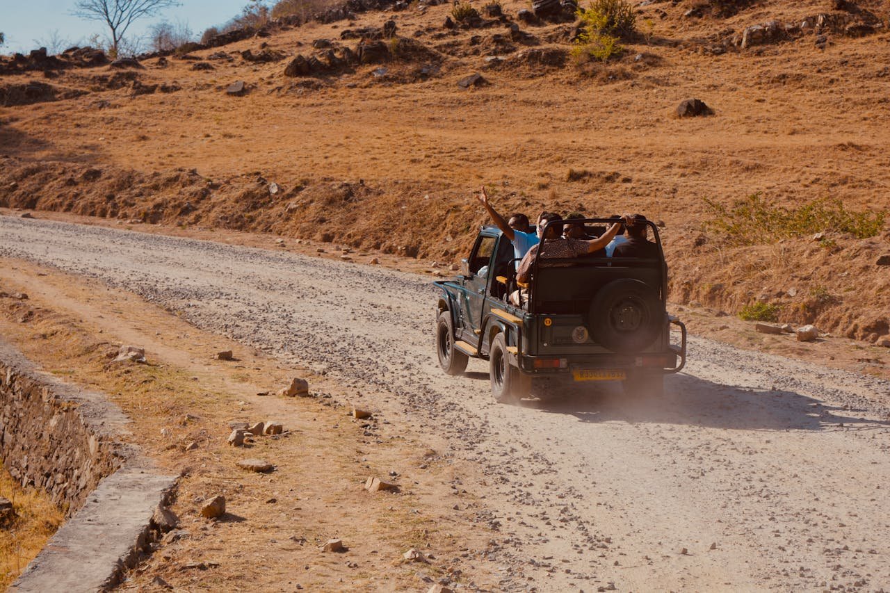 Ranthambore (5)