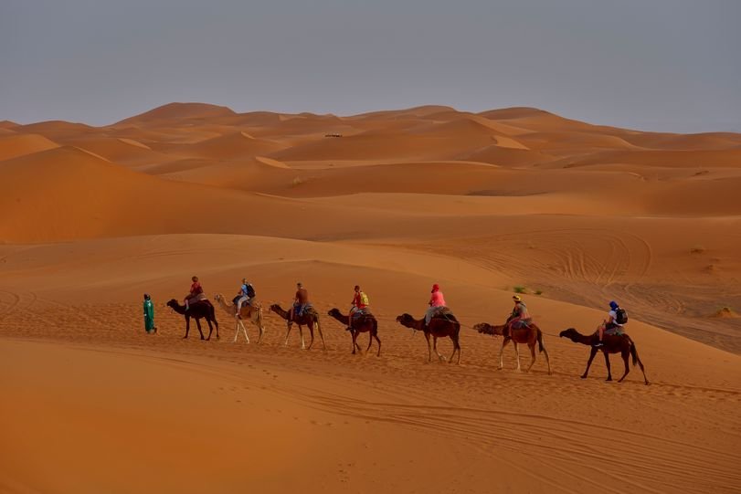 Royal Rajasthan tour (7)