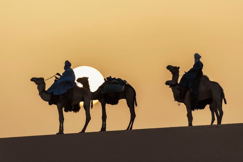 Royal Rajasthan tour (8)