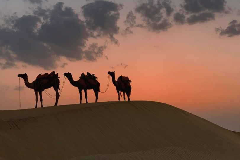 Rajasthan desert tour (11)