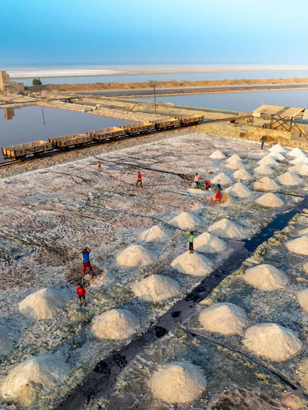 Sambhar Lake - Winter edition.These beautiful and wide range of colors vary with seasons and it (7)